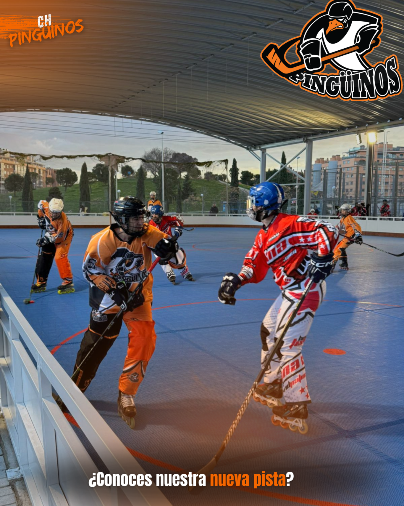 CH Pingüinos publicacion muestra